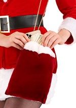 Santa Sack Purse Accessory