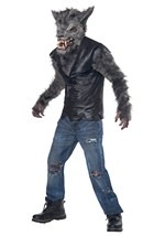 Kids Full Moon Fury Costume