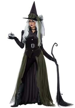 Adult Cool Witch Costume