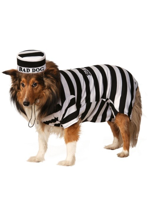 Pet Costume Prisoner