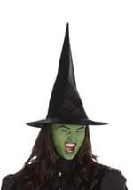 Women's Wicked Witch Costume