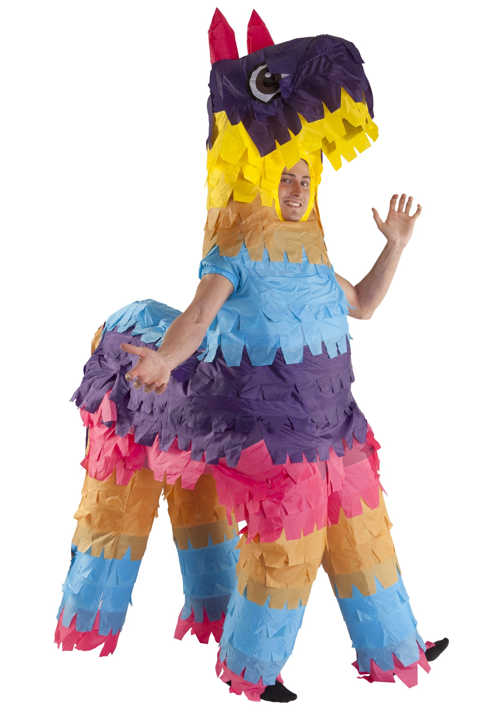 Adult Funny Pinata Costume