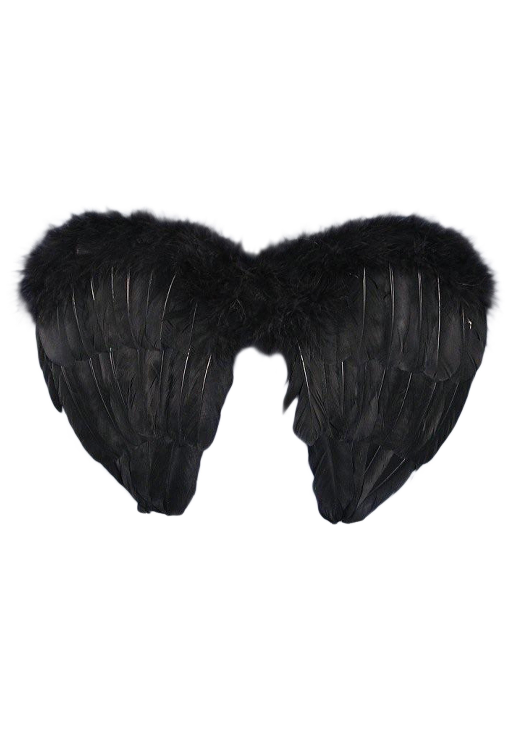 Gothic Fallen Angel Costume Wings