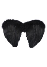 Gothic Fallen Angel Wings