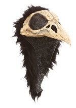 Crow Bird Helmet-2