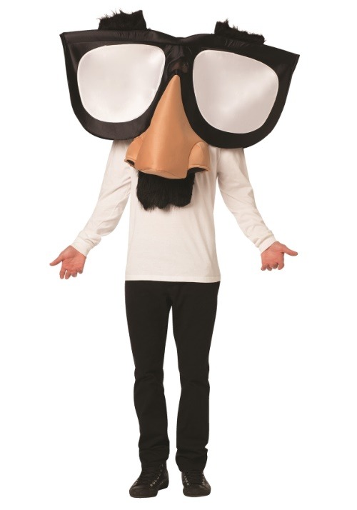 Adult Funny Nose Glasses Costume