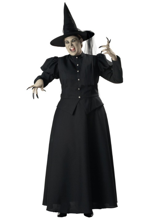 Womens Plus Size Witch Costume