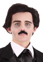 Edgar Allan Poe Wig and Mustache