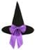 Adult Custom Color Witch Hat Alt 2