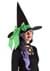 Adult Custom Color Witch Hat Alt 7