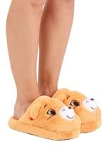 Adult's Tenderheart Care Bear Slippers Alt 3