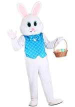 Adult Sweet Easter Bunny Costume Alt 2