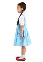 Kid's Classic Dorothy Wizard of Oz Costume Alt 7