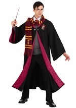 Adult Deluxe Harry Potter Costume