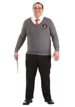 Plus Size Deluxe Harry Potter Costume