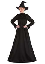 Plus Size Deluxe Harry Potter McGonagall Costume Alt 1