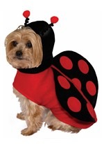 Ladybug Pet Costume