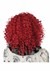 Adult Corkscrew Clown Red Curls Wig Alt 1