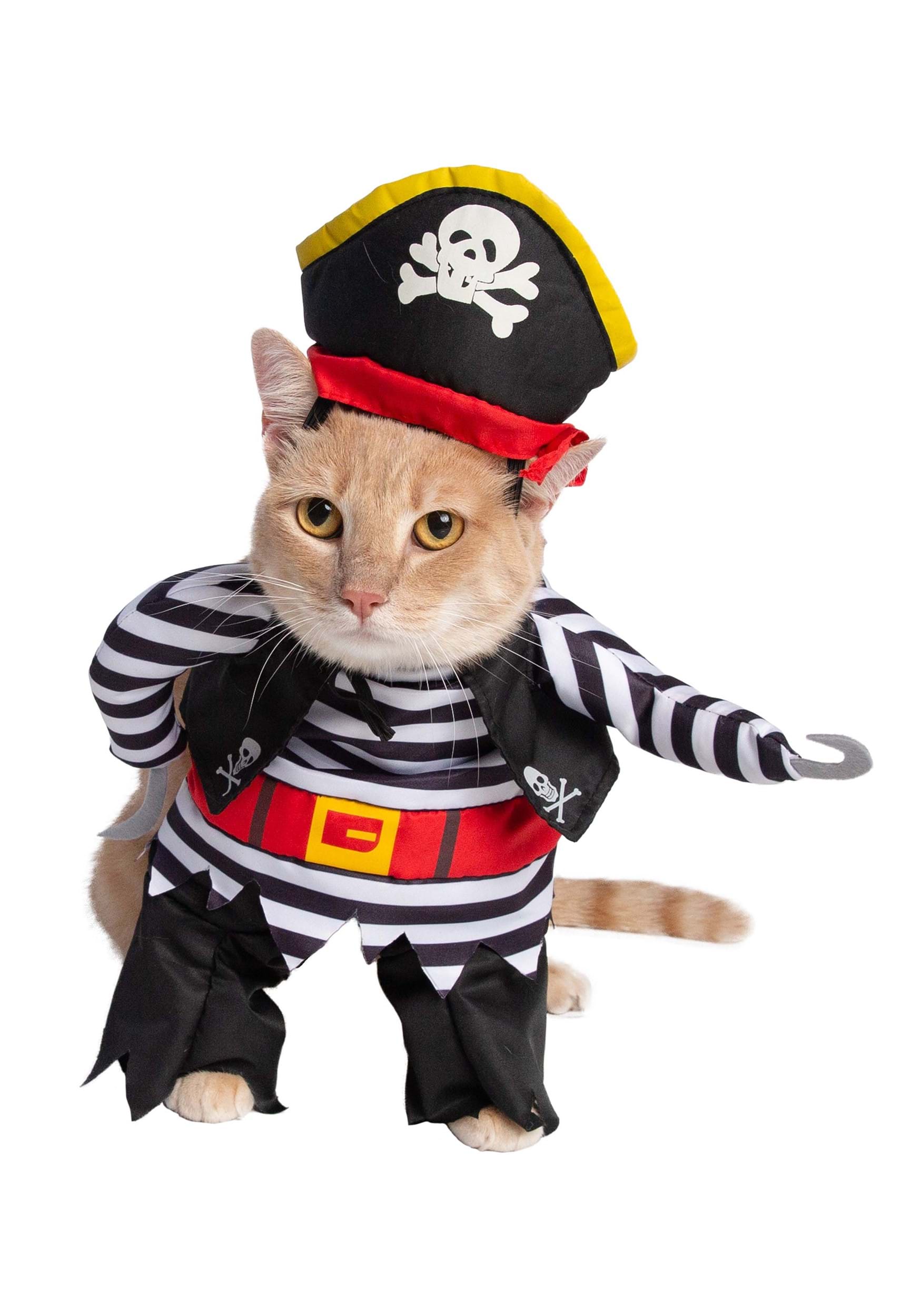 Cute Pirate Pet Costume