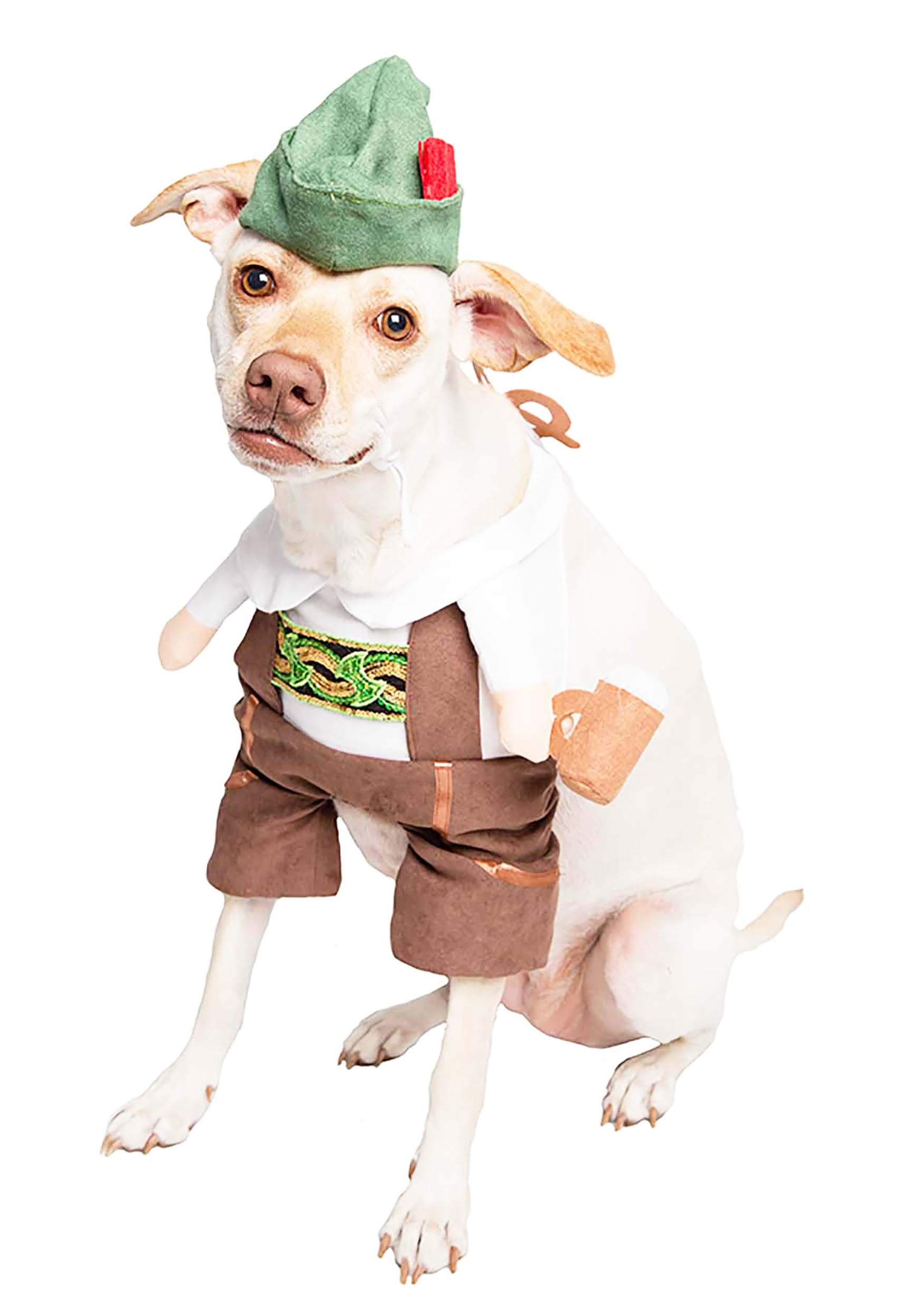 Oktoberfest Pet Halloween Costume