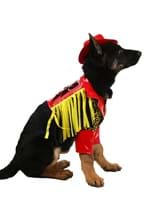 Macho Man Pet Costume Alt 2