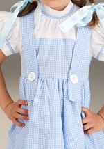 Toddler Deluxe Kansas Girl Costume Alt 1