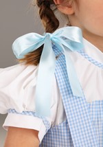 Toddler Deluxe Kansas Girl Costume Alt 3