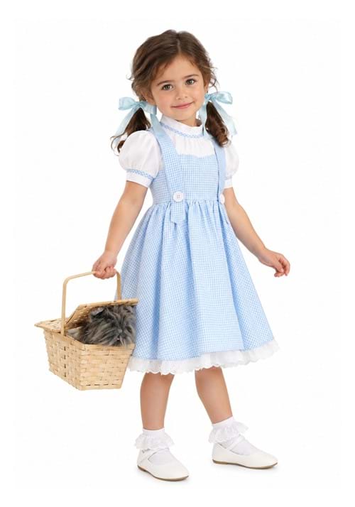 Toddler Deluxe Kansas Girl Costume upd