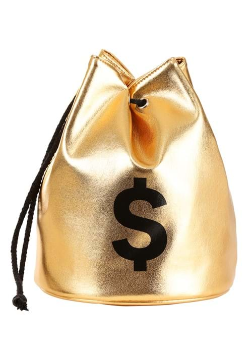 Money Bag Purse