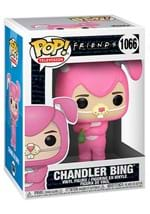 POP TV: Friends- Chandler as Bunny Alt 1