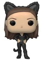 POP TV: Friends- Monica as Catwoman Vinyl Figure Alt 1