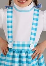 Toddler Gingham Kansas Girl Costume Alt 2