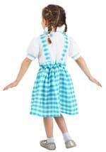 Toddler Gingham Kansas Girl Costume Alt 1