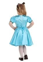 Adventurous Alice Costume alt 1