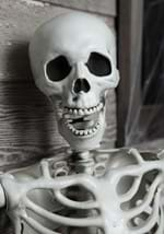 5ft Posable Skeleton Alt 2