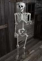 5ft Posable Skeleton Alt 1