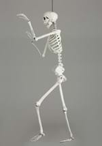 5 Ft Posable Skeleton (M38299) Alt 2