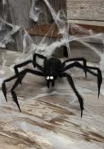 Black Spider Prop-1