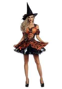 Womens Harvest Witch Costume
