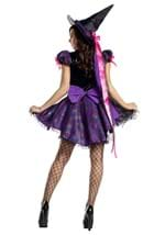 Womens Purple Web Witch Costume