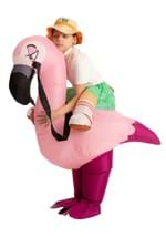 Inflatable Kids Flamingo Ride-On Costume alt 3