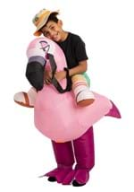 Inflatable Kids Flamingo Ride-On Costume alt 4