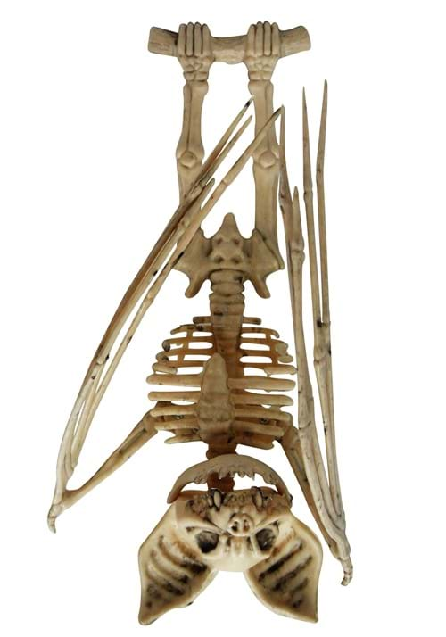 Upside Down Skeleton Bat Decoration