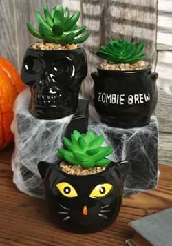 Halloween Succulent Planter Set Cauldron, Cat & Sk_Updated