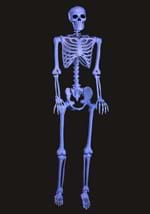 60" Blacklight Ghostly Skeleton_Update