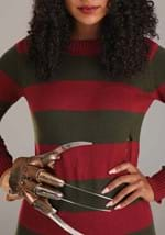 Freddy Krueger Dress Costume Alt 2