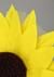 Sunflower Headband Alt 4