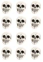 Large Skull 12-pack (CY21082)