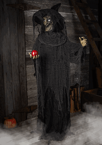 Animated Standing Witch (LL4-900325DZ-AD050F)-1