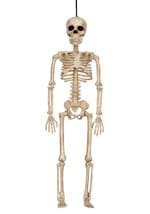 16 Inch Skeleton